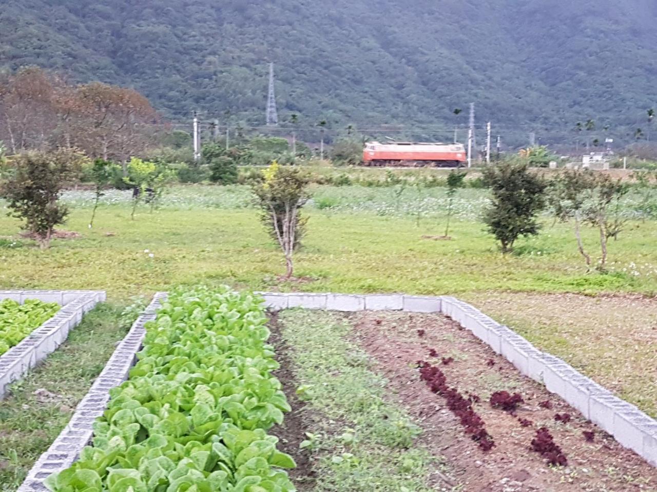 Taroko Formosa Homestay Xiulin Екстер'єр фото